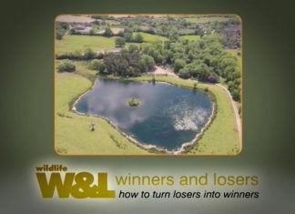 Tale of Two Ponds and Two Tails Too