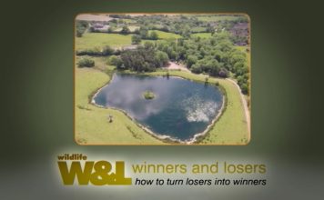 Tale of Two Ponds and Two Tails Too