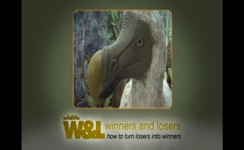 Any More Dodos? – Part One