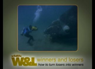 Right Whale and Osprey – Part Two