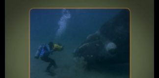 Right Whale and Osprey – Part One