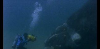 Right Whale and Osprey – PROMO