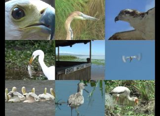 Who’s The Best Fisherman? – PROMO