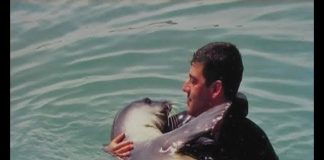 Turkey’s Treasures – PROMO