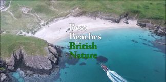 Best Beaches for British Nature