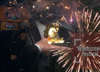 Wildscreen 2018 into 2019 – From Green Zero to Golden Panda
