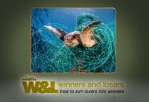 Diary of a Ghost Net