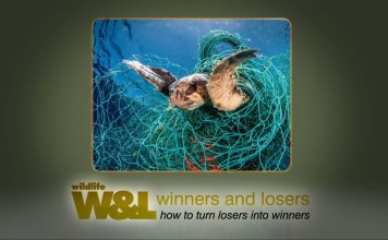 Diary of a Ghost Net