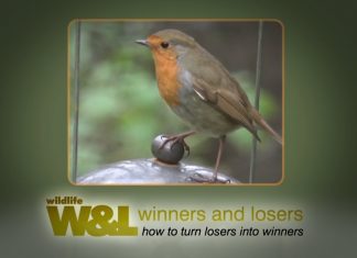 Meet the Nutters PROMO