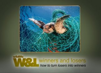 Diary of a Ghost Net