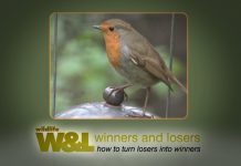 Meet the Nutters PROMO