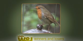 Meet the Nutters PROMO