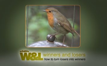 Meet the Nutters PROMO