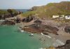 Best Beaches for British Nature PROMO