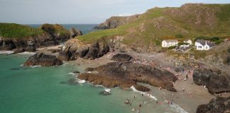 Best Beaches for British Nature PROMO