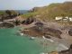 Best Beaches for British Nature PROMO