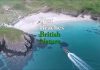 Best Beaches for British Nature