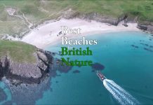 Best Beaches for British Nature