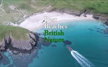 Best Beaches for British Nature