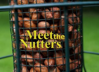 Meet the Nutters