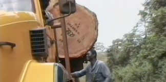 Amazon: “Where does this stuff go?”…