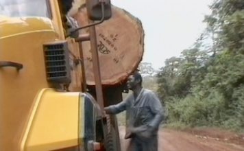 Amazon: “Where does this stuff go?”…