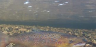 What Britain buys and sells in a day