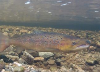 What Britain buys and sells in a day