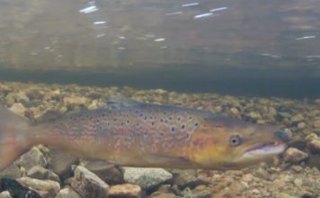 What Britain buys and sells in a day