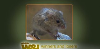 Seven Worlds One Water Mill – PROMO