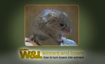 Seven Worlds One Water Mill – PROMO