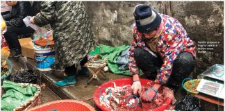 Don’t blame it on a virus…