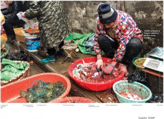 Don’t blame it on a virus…