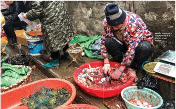 Don’t blame it on a virus…