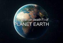 Planet Crunch Part 1, 2 & 3