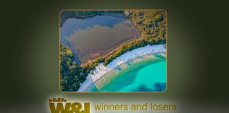 Crisis in Corfu Seals included?