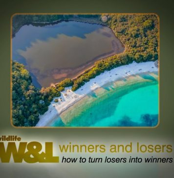 Crisis in Corfu Seals included?