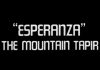 Esperanza – The Mountain Tapir – Promo