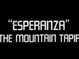 Esperanza – The Mountain Tapir – Promo