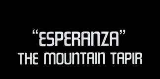 Esperanza – The Mountain Tapir – Promo