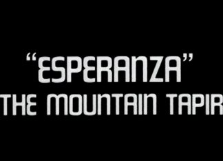 Esperanza – The Mountain Tapir – Promo