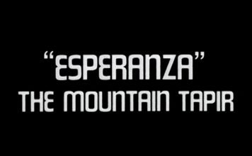 Esperanza – The Mountain Tapir – Promo