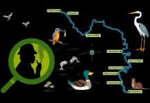 “POODUNNIT?” Maps Promo