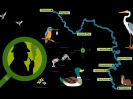 “POODUNNIT?” Maps Promo