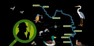 “POODUNNIT?” Maps Promo