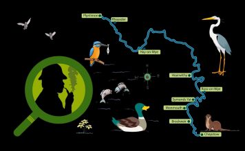 “POODUNNIT?” Maps Promo