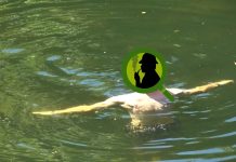 “POODUNNIT?” Logos/Poo Promo