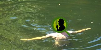 “POODUNNIT?” Logos/Poo Promo