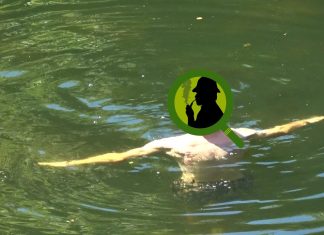 “POODUNNIT?” Logos/Poo Promo